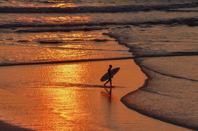 The Sunset Surfer