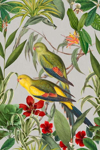 Parakeets Tropical Garden II