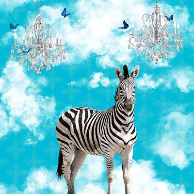 Zebra In The Clouds