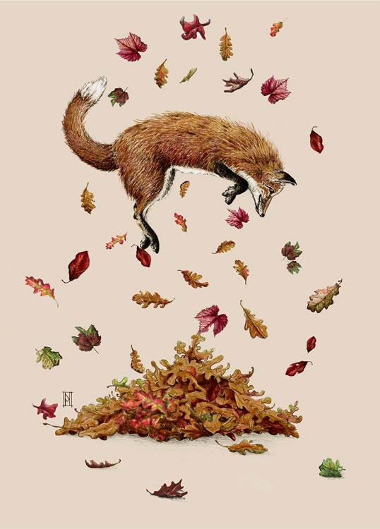 Autumn Forest Fox