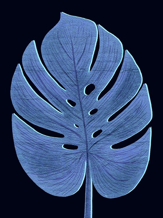 Leaf 3 - Martina Pavlova