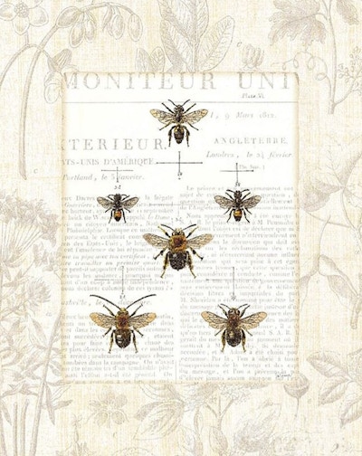 Bee Botanical