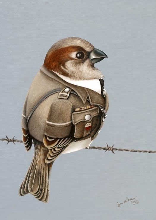 Sparrow Guard - Bonnie Fraser