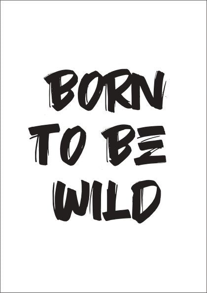 Born To Be Wild - Image Vault