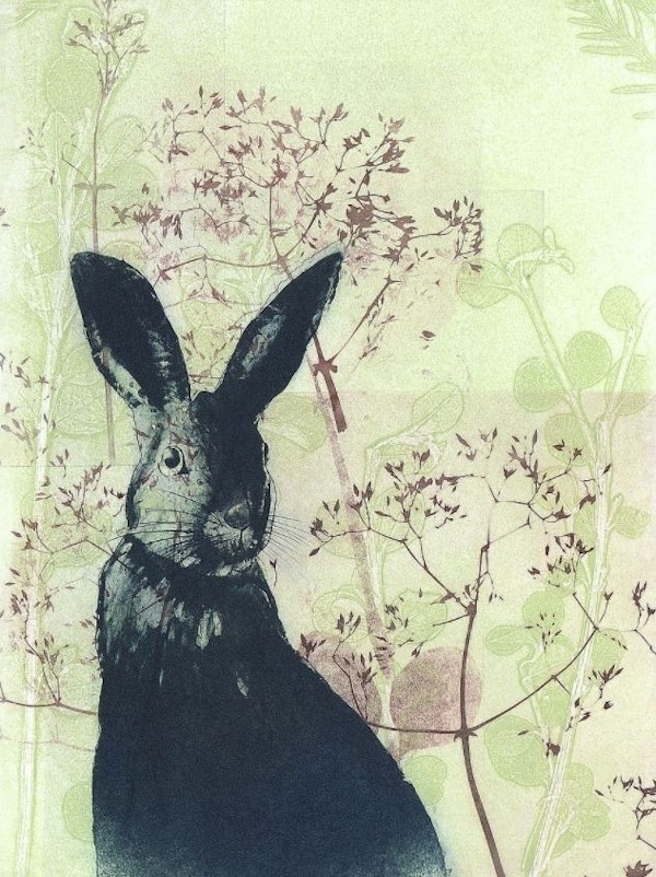Wild Rabbit - Trudy Rice