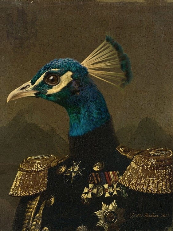 Colonel Peacock - Julian Hindson