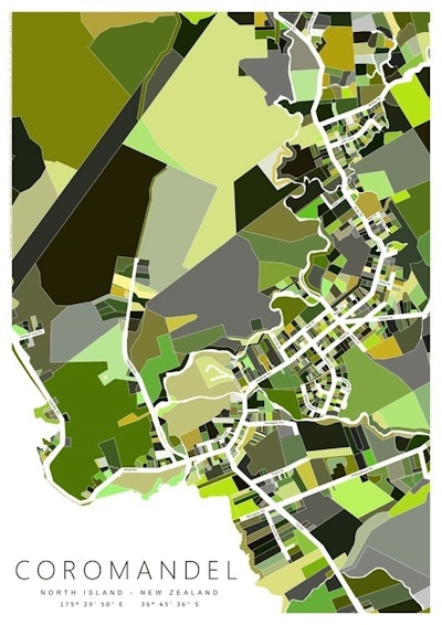 Coromandel Township (detail) Map