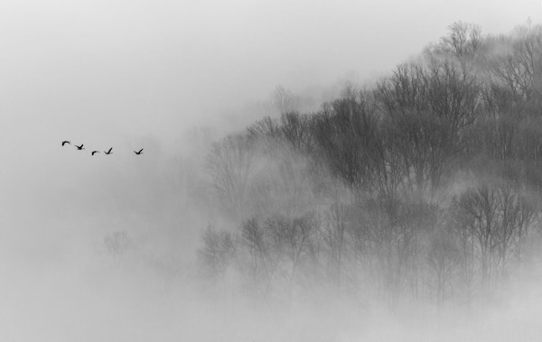 Above Mist - Photographic Collection