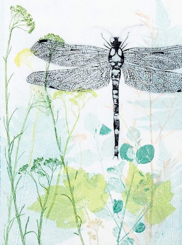 Dragonfly - Trudy Rice
