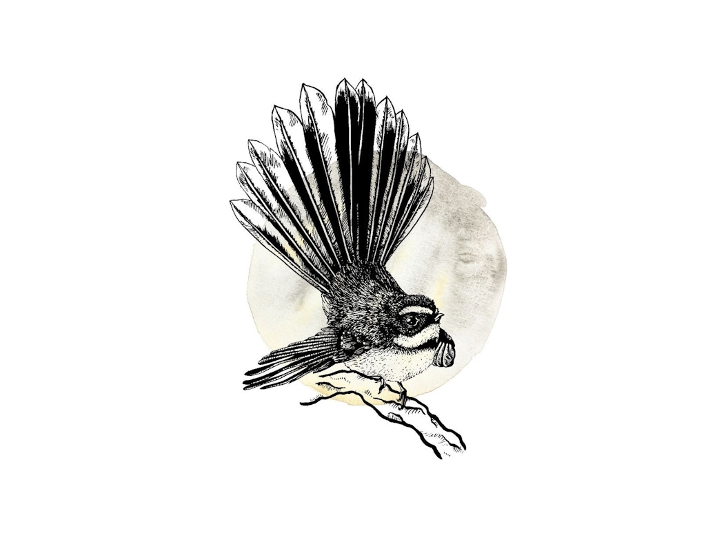 Fantail - Ink Series