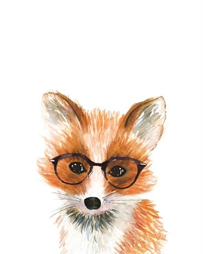 Fox In Glasses