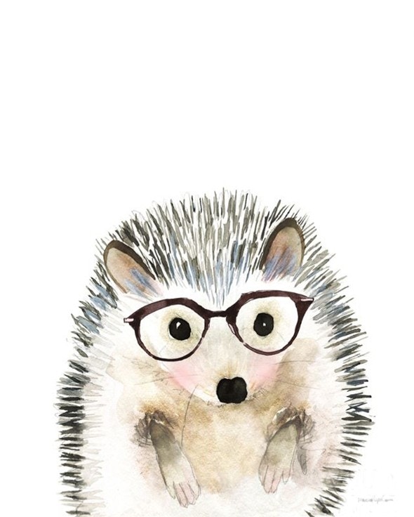 Hedgehog In Glasses
