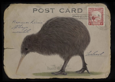 Kiwi Postage