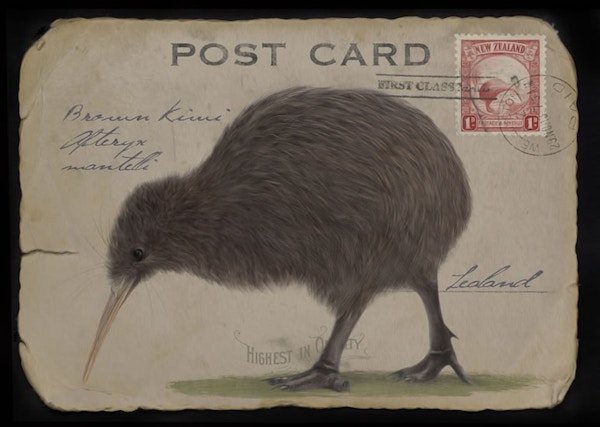 Kiwi Postage - Red Ink Design