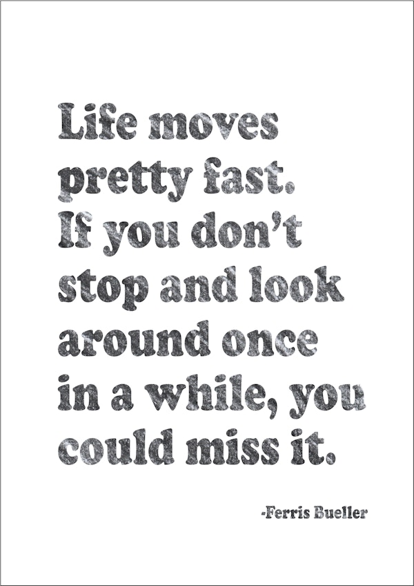 Life Moves Pretty Fast - Image Vault