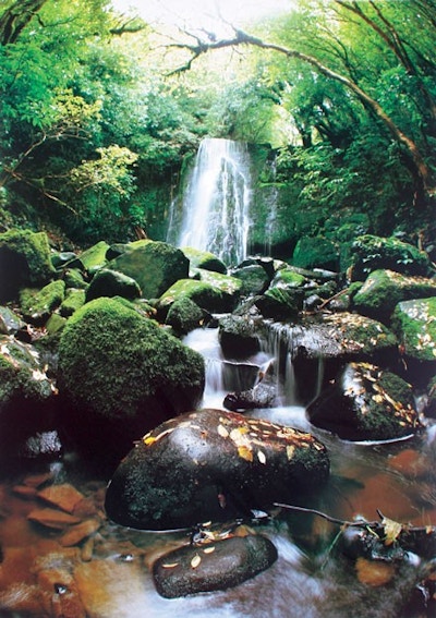 Matai Falls (Sale)