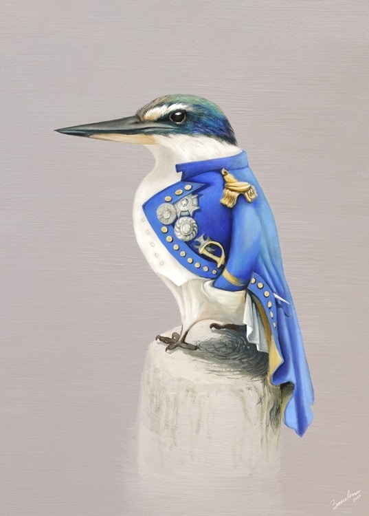 NZ Kingfisher Nelson - Bonnie Fraser
