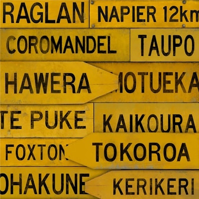 NZ Town Signs (detail)