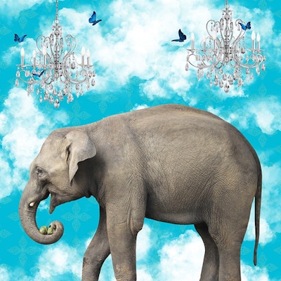 Elephants In The Clouds