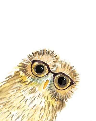 Owl In Glasses