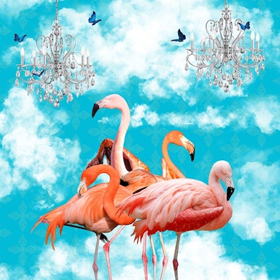 Flamingos In The Clouds