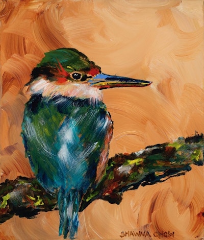 Kingfisher Kotare