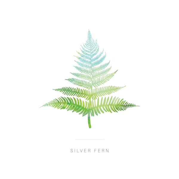 Silver Fern - Louise Martin