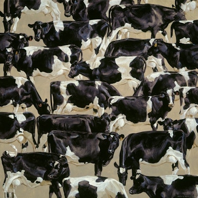 The Herd (Sale)