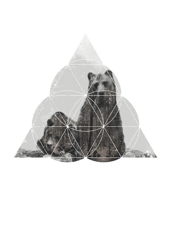 Three Bears (Sale) - Donna O'Donoghue