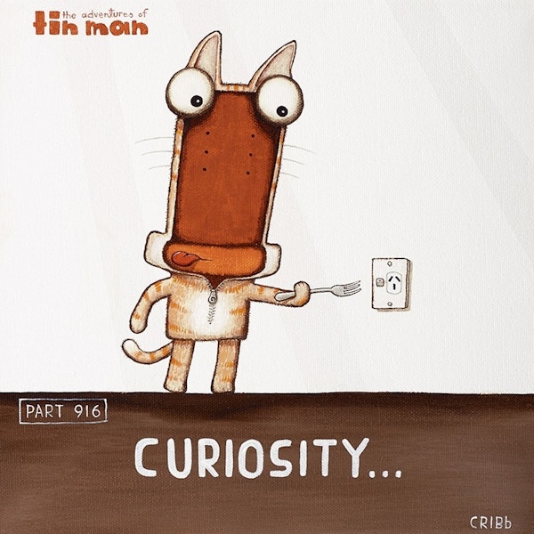 Curiosity - Tony Cribb