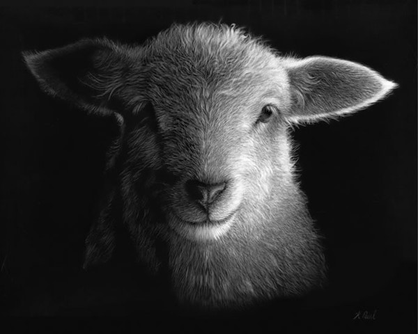 Two Shakes Of A Lamb's Tail - Karen Rankin Neal