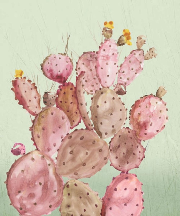 Pink Cacti