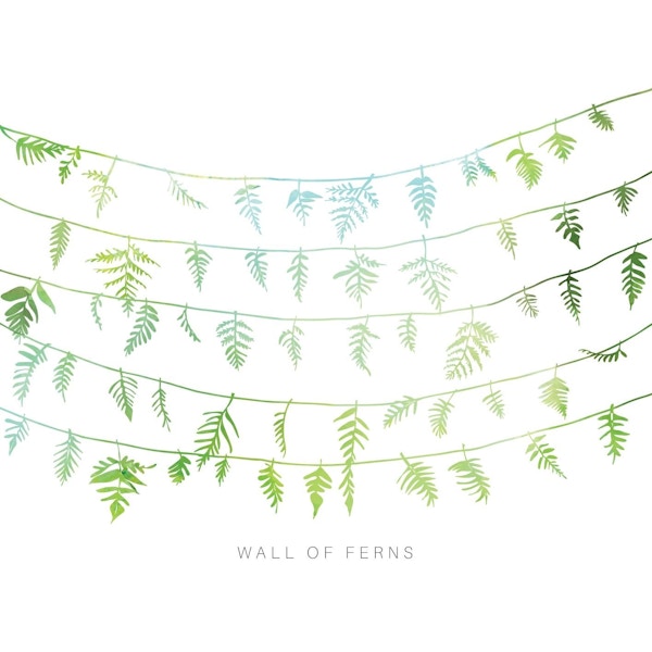 Wall Of Ferns - Louise Martin