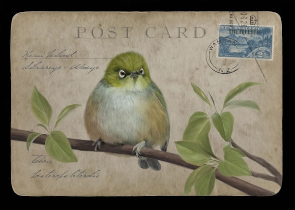 Waxeye Postage - Red Ink Design